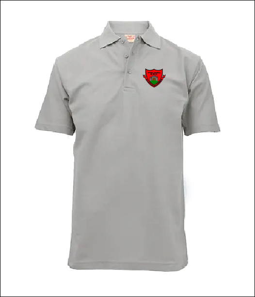 BNS Polo Shirt